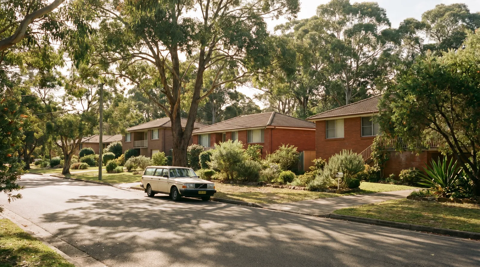 Quiet suburban street in Frenchs Forest with brick homes and street trees